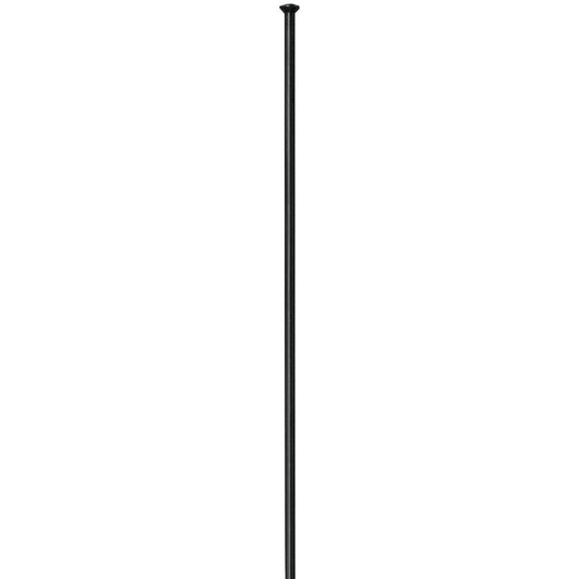 DT SWISS Radios CHAMPION STRAIGHTPULL 2.0mm - negro (1 Pieza)